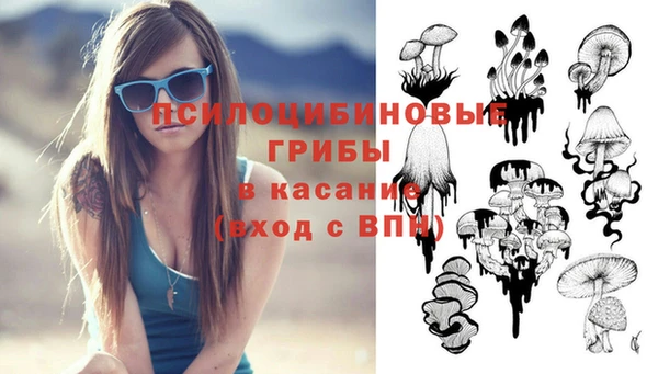 экстази Арсеньев