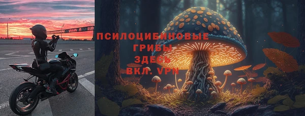 экстази Арсеньев